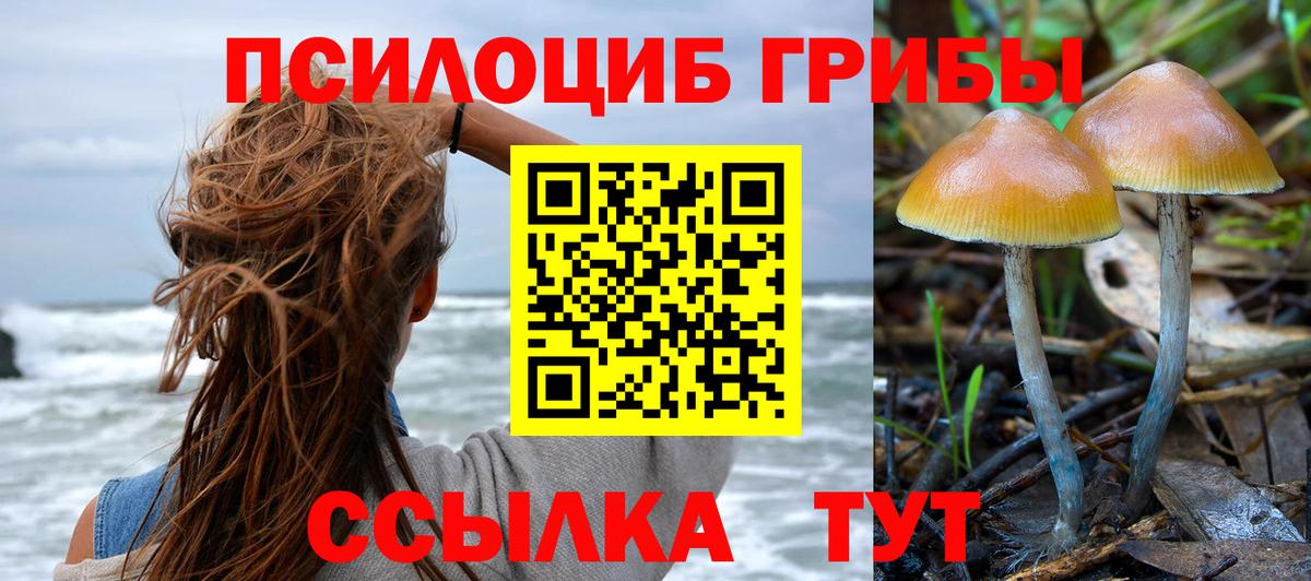 Псилоцибиновые грибы мицелий Карасук